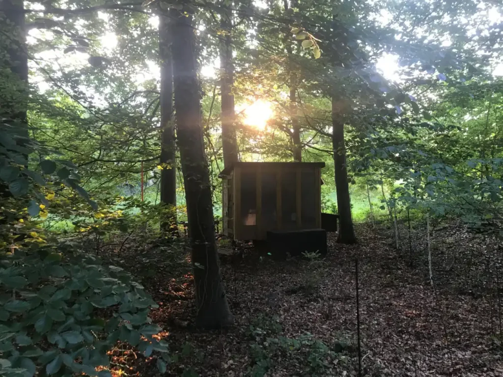 Aenne Bauck: mobiler Hühnerstall im Wald